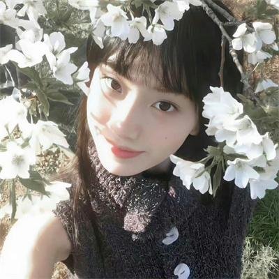 查莉成长日记第三季